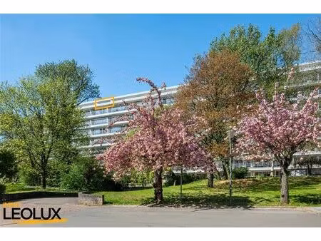 penthouse à vendre à jean sibéliuslaan 24 anderlecht (rbw09745)