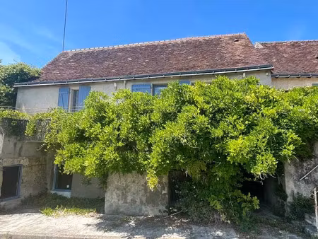 vente maison 3 pièces 88 m² à ferrière-larçon (37350)  124 890 €