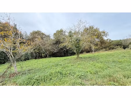 achat terrain 1 345m²