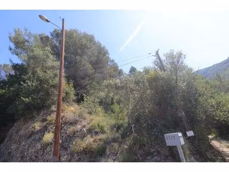 achat terrain 6 006m² peille 06440