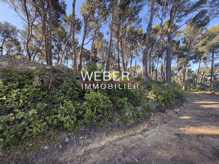 achat terrain 6 400m² ollioules 83190