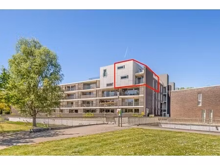 modern  rustig gelegen en bijzonder ruim appartement met 4 slaapkamers  2 badkamers en 2 t