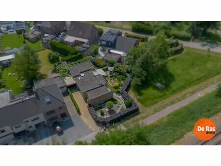 wetteren - open bebouwing in rustige straat met leuke tuin