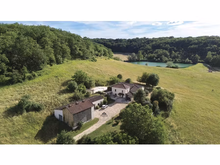 tournon d'agenais maison en pierre avec maison des amis  piscine et dépendants 12 hectares
