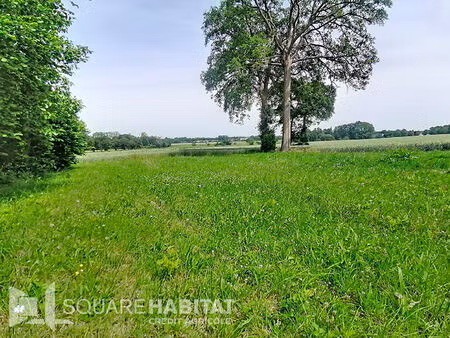 achat terrain 1 361m²