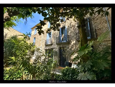 dept 34 - agde - demeure de caractère avec activité de chambres d'hôtes et jardin