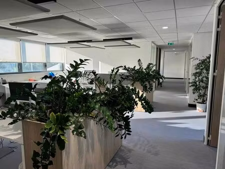 location local professionnel 379m² avignon 84000