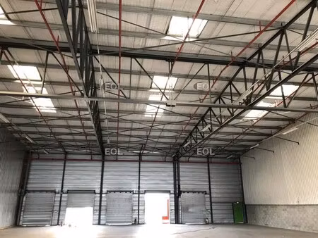 location entrepôt mions 69780 556m²
