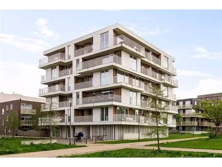 appartement à vendre à ganzendries 15 hoboken (rbw09794)
