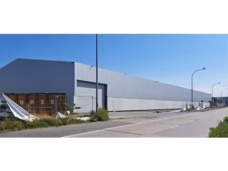 semi-industrieel bedrijfsgebouw met laad-en loskades en rolbruggen