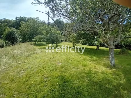 terrain - 1318 m²