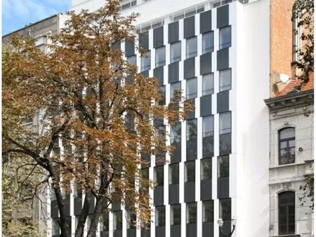 louiza/ louise 120: kantoor oppervlaktes beschikbaar in een modern gebouw in de direct omg