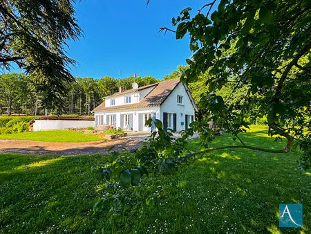 vente maison 10 pièces  238.00m²  saint