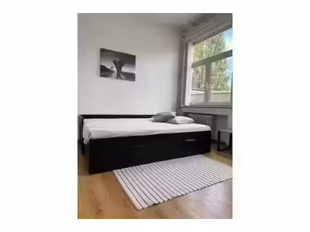 appartement en colocation à avenue de la couronne ixelles (vbe30020)