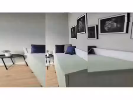 appartement en colocation à rue vandernoot molenbeek-saint-jean (vbe30037)