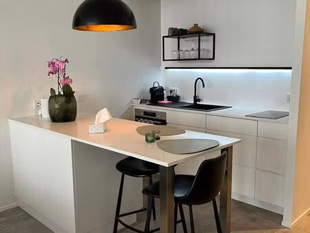 appartement à louer à otto veniusstraat anvers (vbe30041)