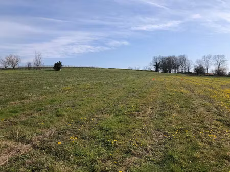 vente terrain 1074 m² saint-savin (33920)