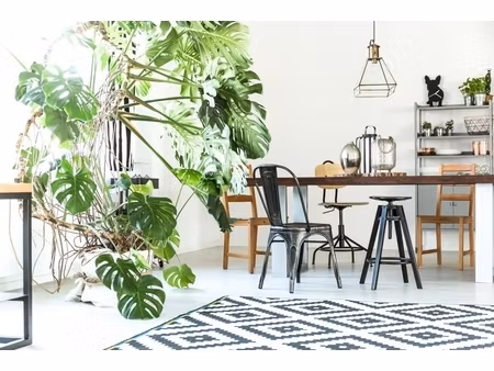 annonce appartement à vendre