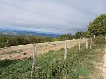 terrain à vendre de 4122 proche de escoutouxx (63)