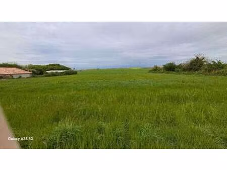 vente terrain à montreuil (85200) : à vendre / 1622m² montreuil