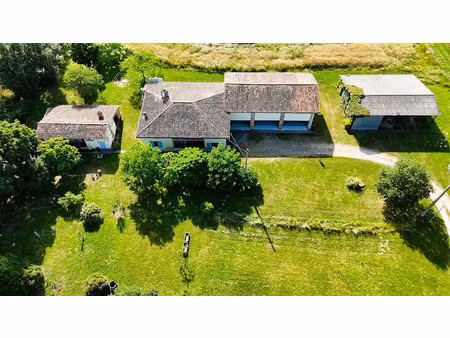 vente maison 6 pièces 116 m² à grisolles (82170)  432 000 €