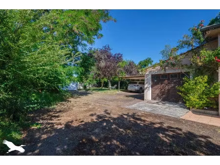 vente maison 5 pièces 167 m² à la salvetat-saint-gilles (31880)  439 000 €