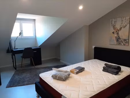 location appartement 1 pièce 10 m² à lyon 7 (69007)