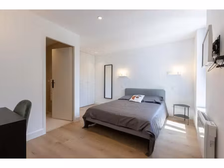 location appartement 1 pièce 15 m² à lyon 7 (69007)