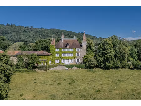 château à vendre à coligny