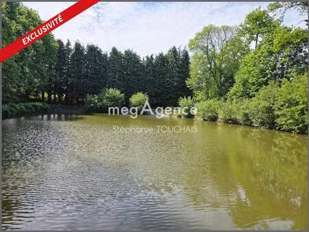 vente terrain à saint-ellier-du-maine (53220) : à vendre / 30695m² saint-ellier-du-maine