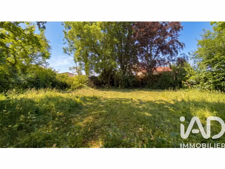 vente terrain à limas (69400) : à vendre / 1050m² limas