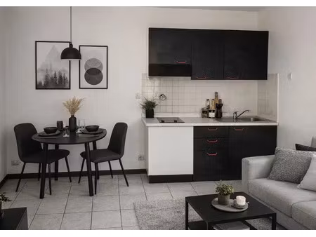 location meublée appartement 1 pièce 18 m² à vierzon (18100)  460 €
