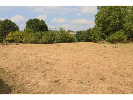 vente terrain 3169 m² puy-l’évêque (46700)