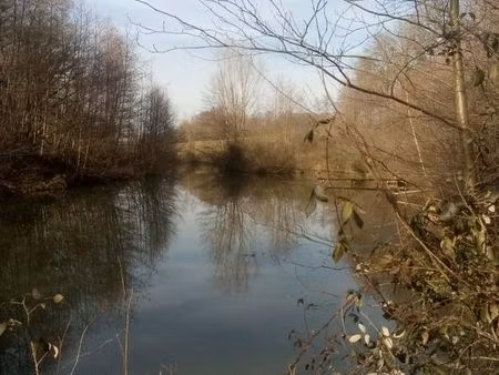 etang