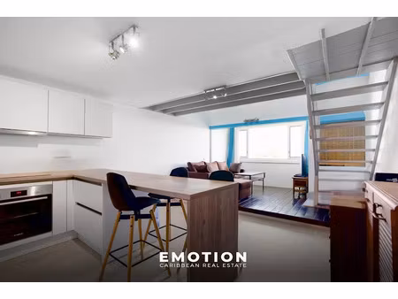 vente appartement 2 pièces 47 m² à saint-martin (97150)  198 000 €