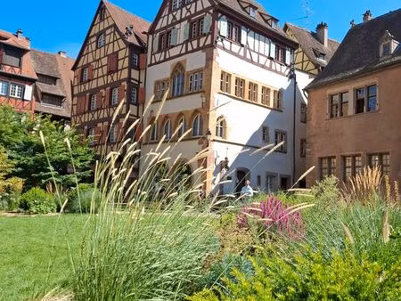 f2 centre ville colmar- vue collégiale st martin