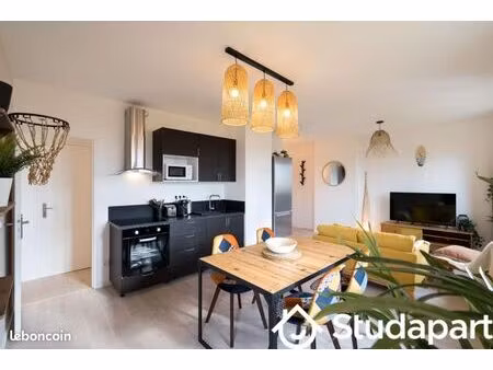 chambre 1 pièce 33 m²