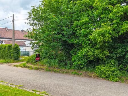 terrain à vendre à zolder € 9.500 (loujl) - immofusion | zimmo