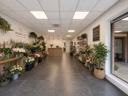 commerciële ruimte met kelder te huur nabij gent st-pieters