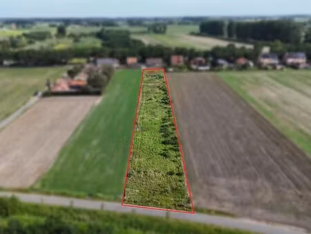 terrain à vendre à kaprijke € 20.500 (louzh) - caroline van dhelsen | zimmo