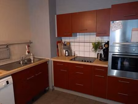 appartement 2 chambres + cave  garage  terrasse  jardin