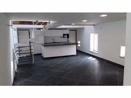 appartement 1 ch  130 m2  terrasse-jardin
