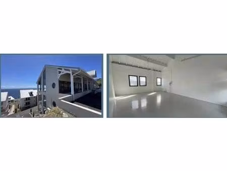 sn agence molinard immobilier