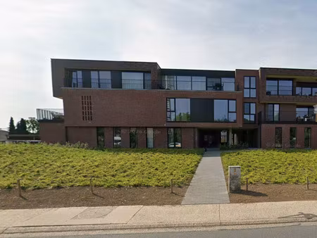 appartement à louer à neerpelt € 970 (lotoh) | zimmo