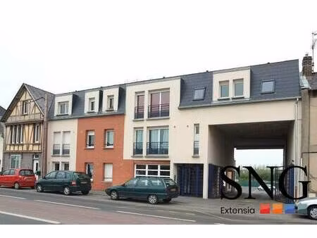 sng extensia