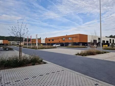 bien professionnel à louer à merksplas € 1.425 (lougg) | zimmo
