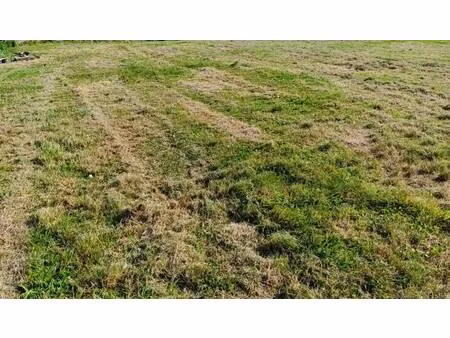 terrain constructible viabilisé à vendre