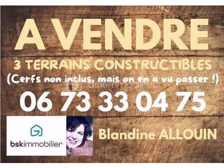 terrain constructible à vendre