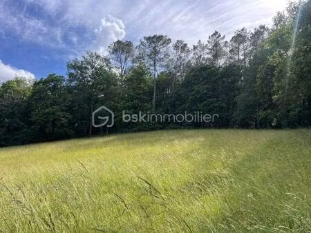 thierry gallien bsk immobilier