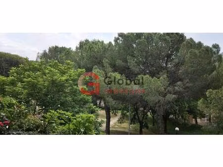 global immobilier - miriam rubino